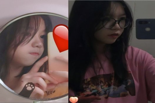 Rau non bị kéo vào khách sạn